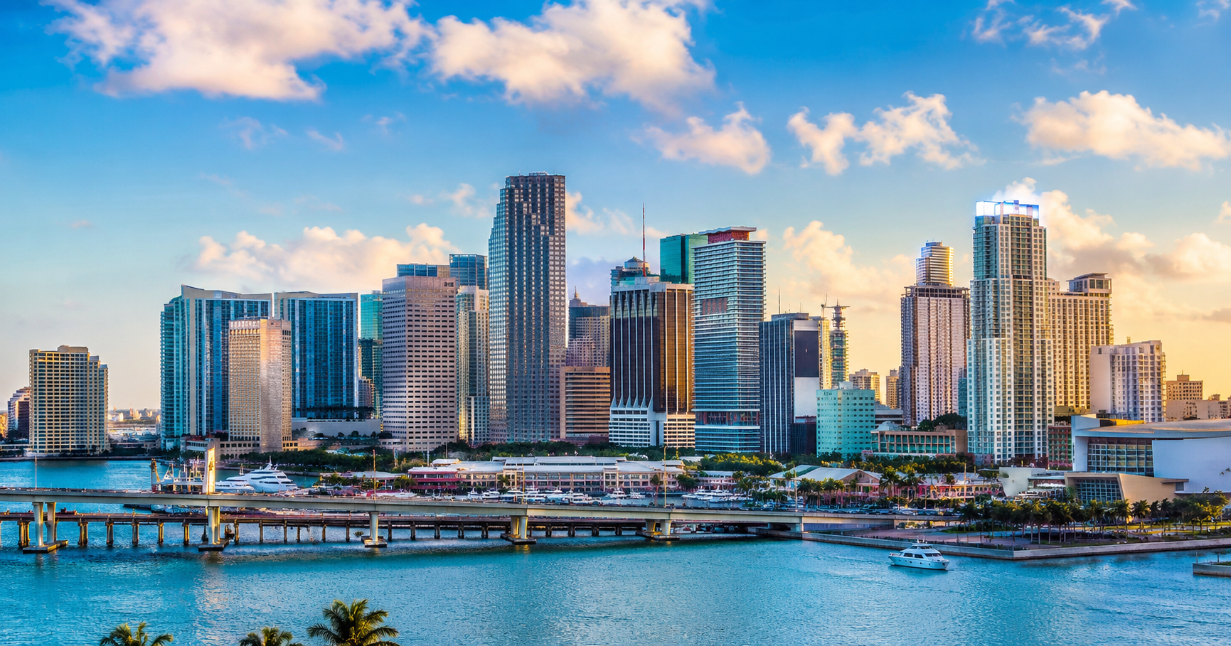 Miami skyline